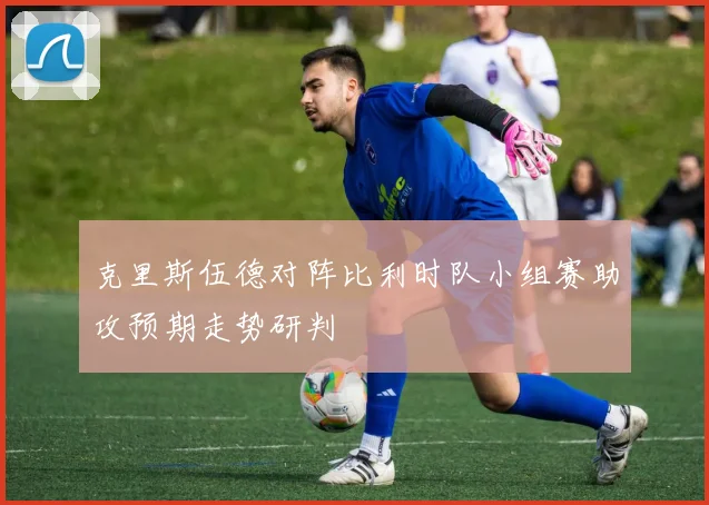 克里斯伍德对阵比利时队小组赛助攻预期走势研判
